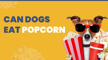 can dogs eat popcorn